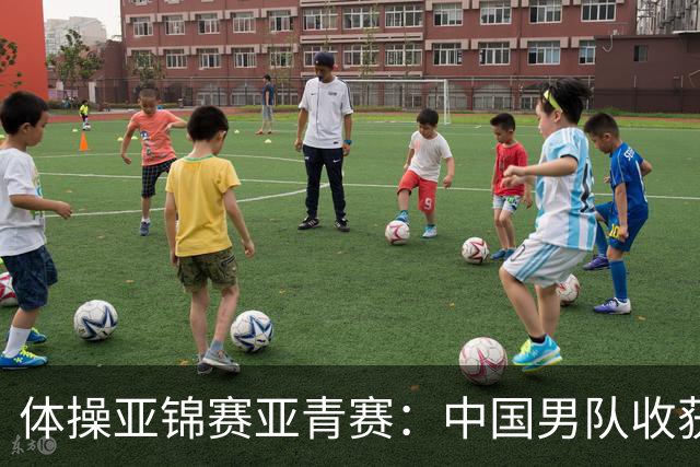 体操亚锦赛亚青赛：中国男队收获6枚金牌