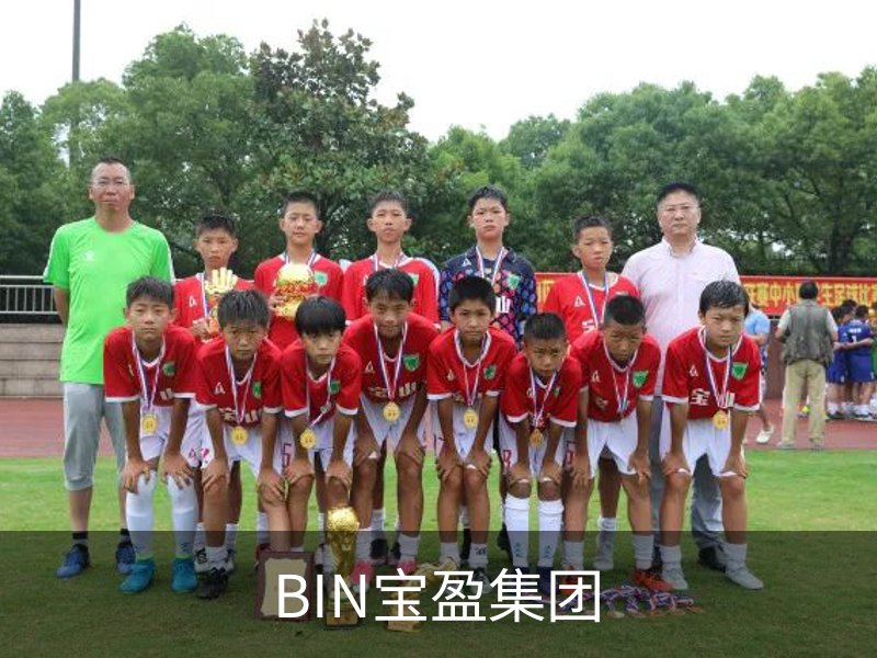 了解BIN宝盈集团